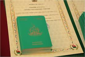 The Cost of Vanuatu Passport Understanding Vanuatu Passport Prices The Cost of Vanuatu Passport Understanding Vanuatu Passport Prices
