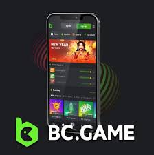 Условия и Положения Игры BC Полный Обзор