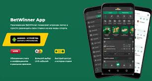 BetWinner in Senegal Your Ultimate Betting Guide