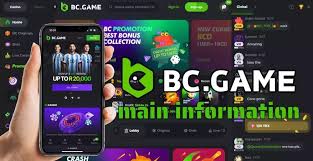 Experience the Thrill of BC.Game Online Casino Experience the Thrill of BC.Game Online Casino