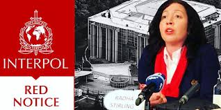 Understanding the Role of Interpol Defense Lawyers 1345883723